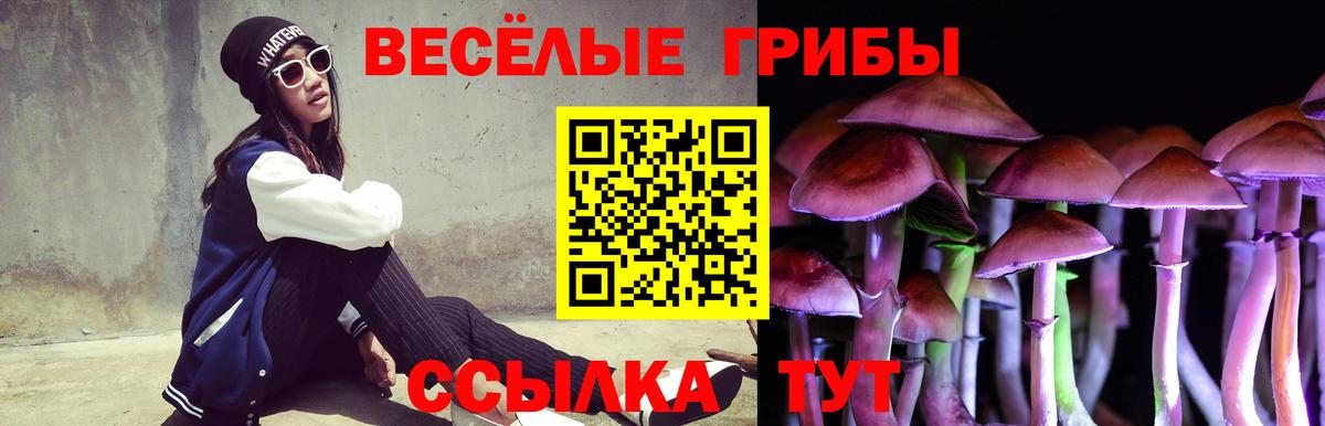 Псилоцибиновые грибы MAGIC MUSHROOMS  Вход с VPN  купить наркотики сайты  Кстово 